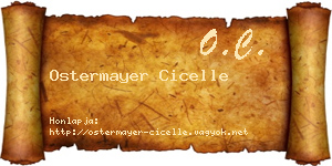 Ostermayer Cicelle névjegykártya